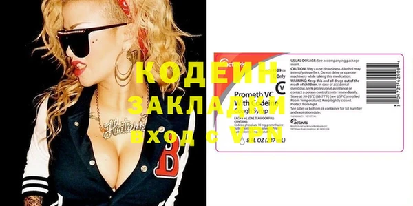 индика Балабаново