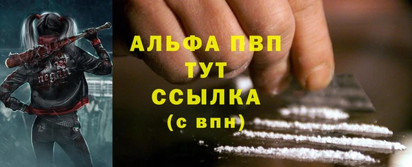 индика Балабаново