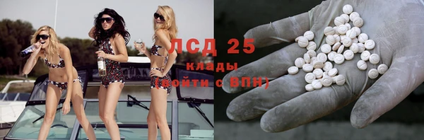 индика Балабаново