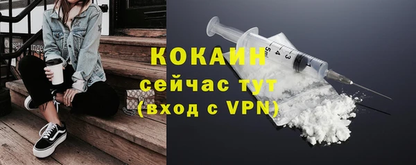 индика Балабаново