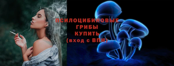 соль ск Балахна