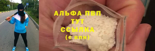индика Балабаново